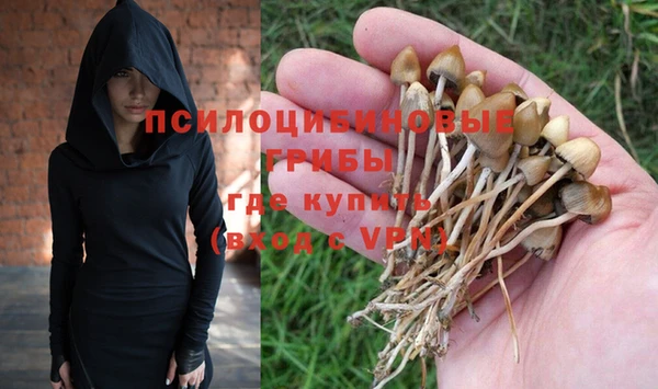 не бодяженный Осташков